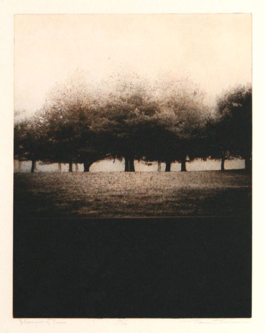 Thom O'Connor Morning Trees