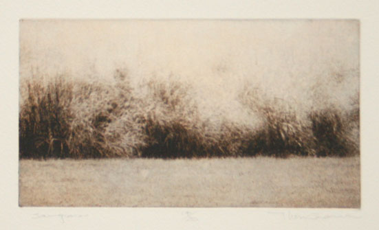 Thom O'Connor Saw Grass